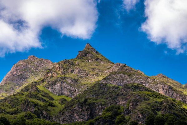 Discover Cambridgeshire's Best Guided Garden Tours: Your Unforgettable Adventure Awaits!